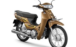 Honda Dream 125 2019 sắp về đại lý, giá bán từ 46,6 triệu đồng