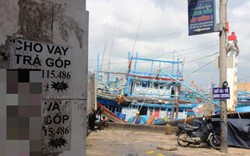 Dẹp loạn “tín dụng đen” bủa vây ngư dân ở cảng cá Quy Nhơn