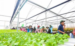 CEO VinEco: Làm “Nông nghiệp thông minh” vì trách nhiệm với cộng đồng