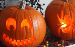 Vì sao ngày Halloween có biểu tượng là quả bí ngô?