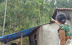 Quảng  Nam: 36 hộ dân nơm nớp lo sợ núi Rẫy Tranh Lớn sạt lở