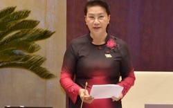Chủ tịch Quốc hội nói về vụ luân chuyển ông Trương Quang Hoài Nam