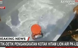 Cận cảnh hộp đen máy bay Indonesia được thợ lặn đưa lên bờ