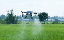 Nông dân 4.0: Dùng máy bay phun thuốc trên ruộng lúa ở miền Tây