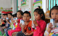 Chương trình Sữa học đường: Nên chọn sữa nào?