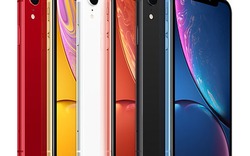 Giá liên tục lao dốc không phanh - kịch bản nào cho số phận iPhone XR?