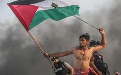 "Phượng hoàng Gaza" của người Palestine bị Israel bắn trúng