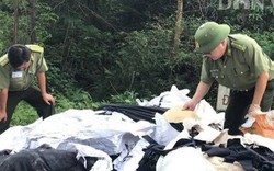 Chủ tịch tỉnh chỉ đạo truy tìm đối tượng đổ rác vào Khu di tích Đền Hùng
