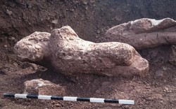 Đào đất trồng trọt, nông dân Ai Cập phát hiện cổ vật quý