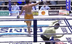 Video: Huyền thoại võ Muay Thái tử vong vì bị knock-out