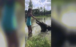 Kinh ngạc cảnh cô gái tay không cho cá sấu khổng lồ ăn