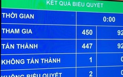 99,33% đại biểu Quốc hội bỏ phiếu tán thành nghị quyết quan trọng