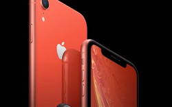 Bất ngờ với nguyên nhân khiến Apple cắt giảm sản lượng iPhone XR