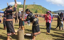 Khai mạc lễ hội hoa dã quỳ dưới chân núi lửa Chư Đăng Ya