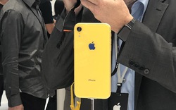 Chuyên gia phân tích nhận định Apple đang "ngậm trái đắng" với iPhone XR