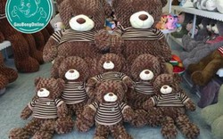 Bí mật đằng sau khuôn mặt dễ mến của những chú Gấu Teddy