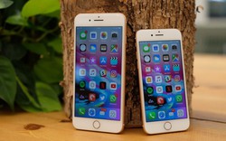 Bộ ba iPhone 2018 ế hàng, iPhone 8, iPhone 8 Plus "lên ngôi"