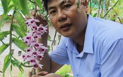Thầy giáo trường làng sở hữu vườn lan rừng tiền tỷ