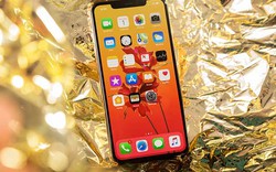 Chỉ có một màu người dùng nên cân nhắc nếu mua iPhone XS