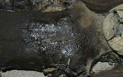 Chile: Trăm xác ướp 7.000 năm tuổi bỗng nhiên tan chảy