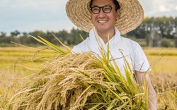 "Nhĩ Khang" Châu Kiệt về quê trồng lúa mưu sinh: Sự thật bất ngờ