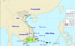 Bão số 8 suy yếu thành áp thấp nhiệt đới, gây mưa to Nam Trung Bộ, Tây Nguyên