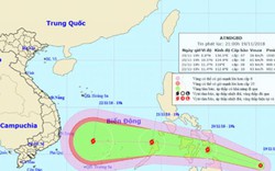 Áp thấp nhiệt đới giật cấp 9, khả năng mạnh thành bão hướng vào Biển Đông