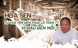 Hoa Sen: Từ vua tôn đến thua lỗ trăm tỷ, vì đâu nên nỗi?