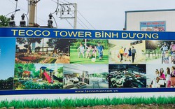 Tecco Miền Nam bán dự án Chung cư Tecco Tower Bình Dương… trên giấy