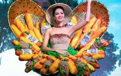 H'Hen Niê mang trang phục "Bánh mì" gây tranh cãi thi Miss Universe