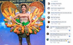 Dậy sóng khen chê quanh trang phục "Bánh mì" H'Hen Niê mang đi Miss Universe