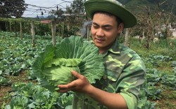 Trai 18 tuổi, trồng 6.000m2 rau cải bắp, kiếm 100 triệu đồng/năm
