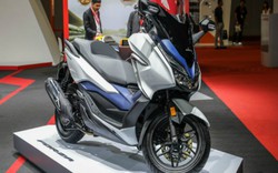 2019 Honda Forza 300 chốt giá 172,7 triệu VNĐ, khuấy động phái mạnh