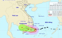 Nín thở chờ bão số 9: Ngừng họp chợ, sơ tán dân