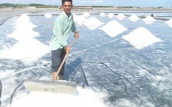 TP.HCM: Bão số 9 "cuốn bay" 400ha ruộng muối ở xã đảo