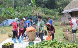 Chuyện ở Tuyên Quang: Nơi "đốt đuốc" không tìm ra...hộ nghèo