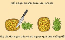 18 mẹo làm bếp thông minh cho cô nàng bận rộn