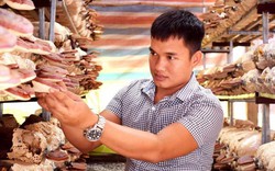 Xét theo chuẩn nghèo quốc gia: TP.HCM không còn hộ nghèo!