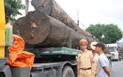 Cảnh sát tạm giữ hàng chục cây gỗ khủng đang "bon bon" trên QL1A