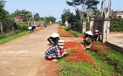 Nông thôn mới Đắk Lắk thành công lớn từ những việc nhỏ