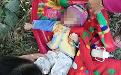 Bé gái 15 tháng tuổi bị bỏ rơi ở bụi tre ven đường