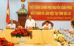 Thủ tướng yêu cầu cân nhắc chuyển đổi rừng nghèo, cao su kém hiệu quả