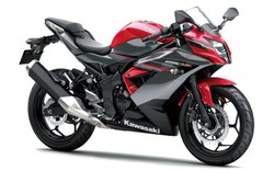 2019 Kawasaki Ninja 250 SL giá 60 triệu đồng, phái mạnh phấn khích