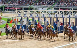 Hà Nội sẽ có trường đua ngựa rộng hơn 100 ha