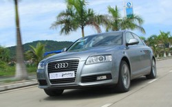 Hơn 100 xe sang Audi A6 bị triệu hồi tại Việt Nam