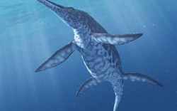 “Thủy quái” khổng lồ từng thống trị đại dương, hàm mạnh gấp 4,5 khủng long T-Rex