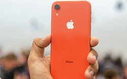 Cách iPhone XR trở nên VÔ ĐỐI khiến nhiều người bất ngờ