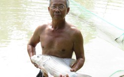 LẠ MÀ HAY: Thoát nghèo nhờ nuôi cá quý "bí ẩn" của dòng Mê Kông