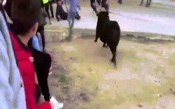Video: Bò tót nổi điên húc người tung lên trời trong lễ hội ở TBN