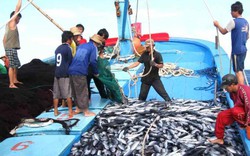 3 tàu cá của ngư dân Việt Nam gặp nạn gần đảo Hải Nam, Trung Quốc